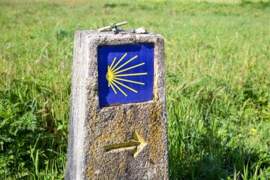 Le Chemin de Saint-Jacques : du Puy-en-Velay à St-Jean-Pied-de-Port