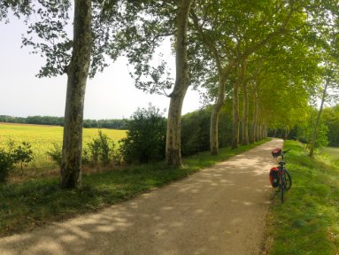  Scenery Toulouse to Castelnaudary was gorgeous. 